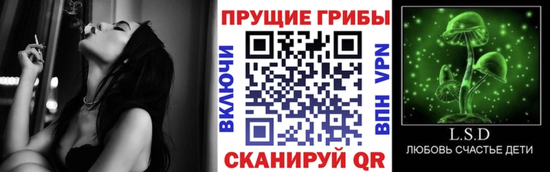 Купить где  Ханты-Мансийск  Псилоцибиновые грибы MAGIC MUSHROOMS 